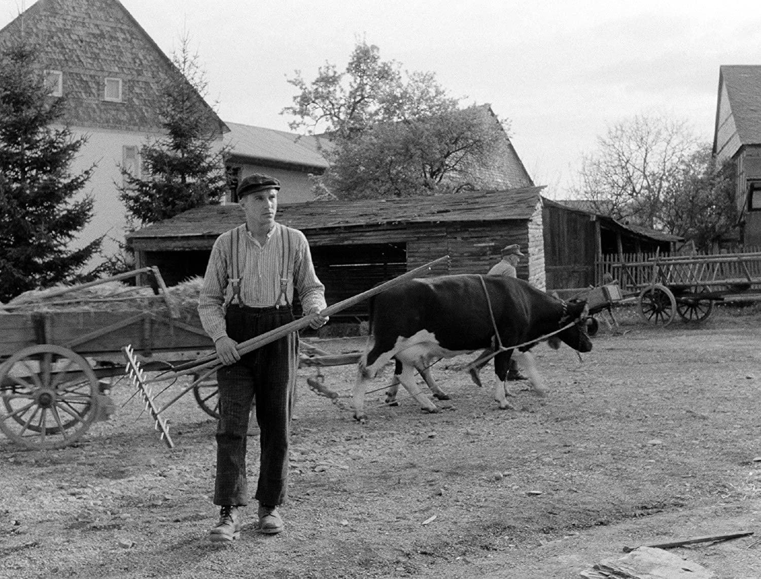 Heimat 1 - Eine deutsche Chronik (Director's Cut, Kinofassung, 7 Discs, Digital Remastered