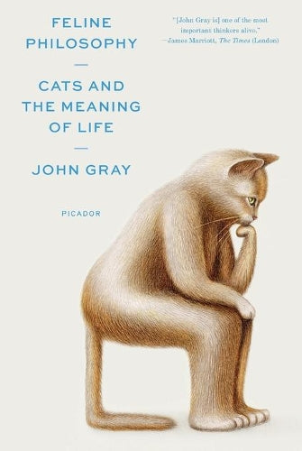 Feline Philosophy