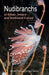Nudibranchs of Britain, Ireland and Northwest Europe
