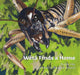 Weta Finds a Home