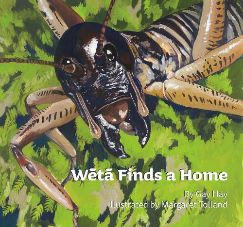 Weta Finds a Home