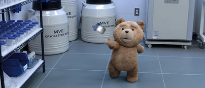 Ted 1 & 2 (FSK 16 Jahre) Blu-ray