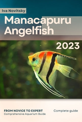 Manacapuru Angelfish