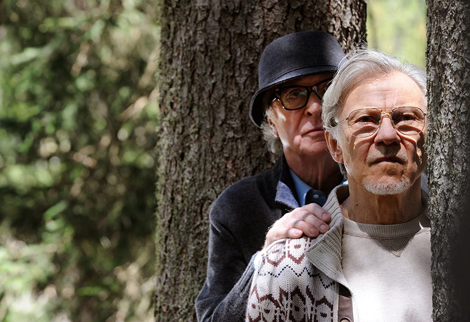 Paolo Sorrentino Director's Collection