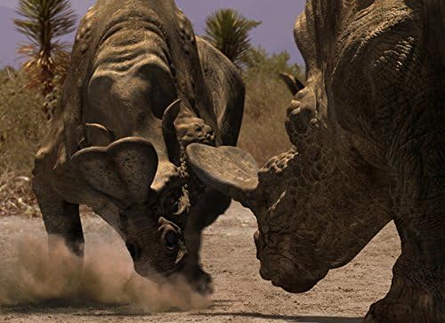 Dinosaurier - Im Reich der Giganten