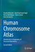 Human Chromosome Atlas