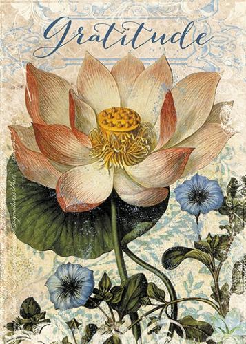 Gratitude