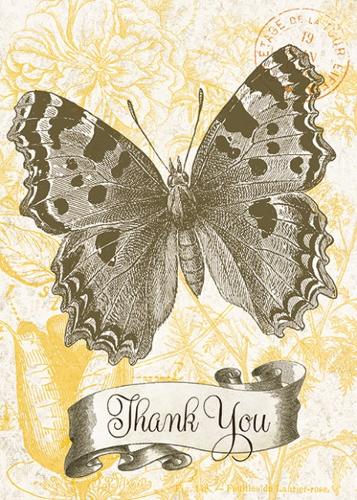 Thank You Butterfly
