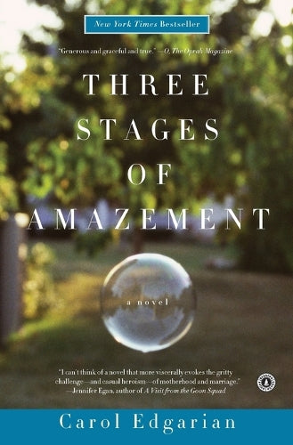 Three Stages of Amazement