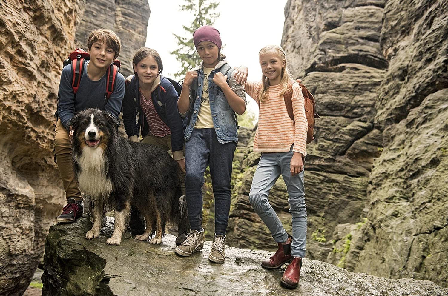 Fünf Freunde und das Tal der Dinosaurier
