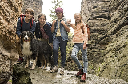 Fünf Freunde und das Tal der Dinosaurier
