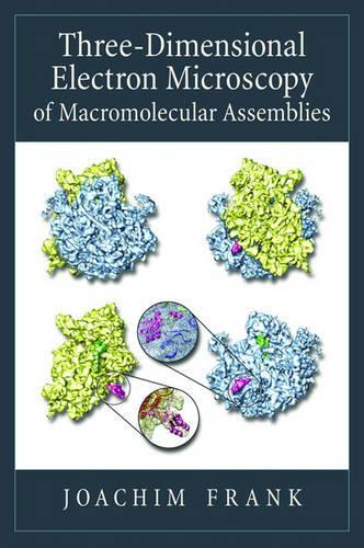 Three-Dimensional Electron Microscopy of Macromolecular Assemblies