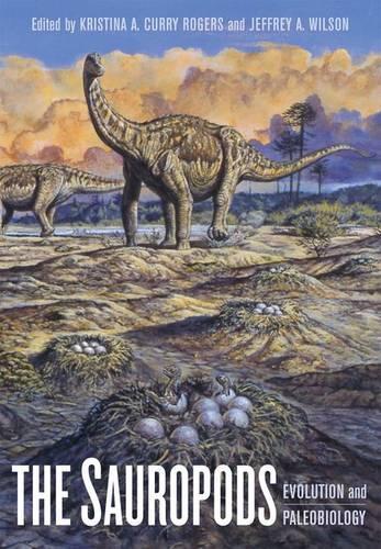 The Sauropods