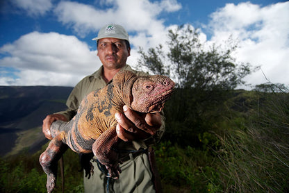 Galapagos - mit David Attenborough