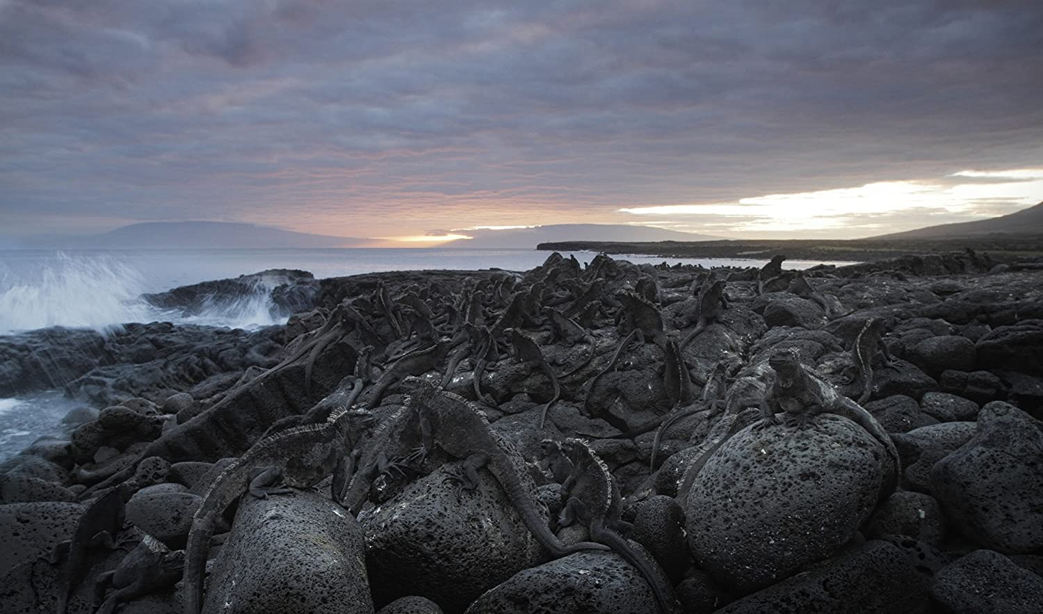 Galapagos - mit David Attenborough