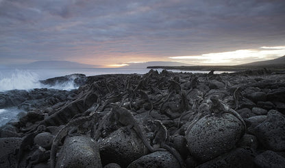 Galapagos - mit David Attenborough