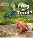 Frog or Toad?