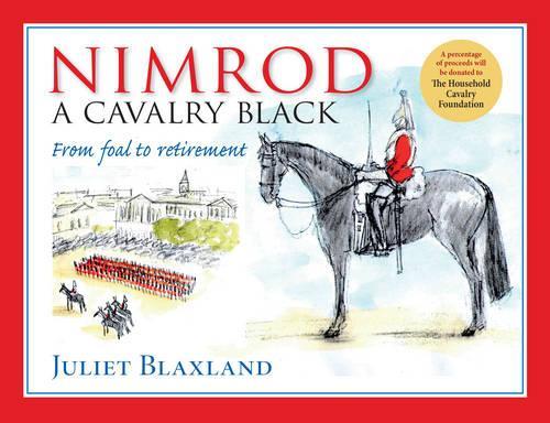 Nimrod: A Cavalry Black