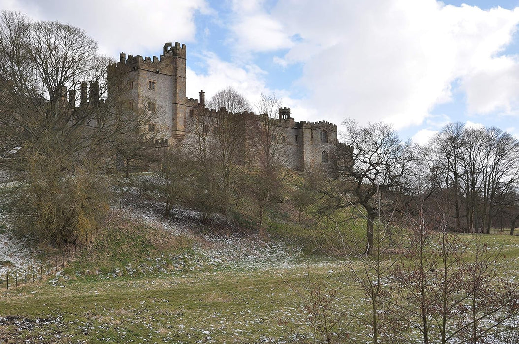 Philippa Gregory's The Real White Queen and her Rivals