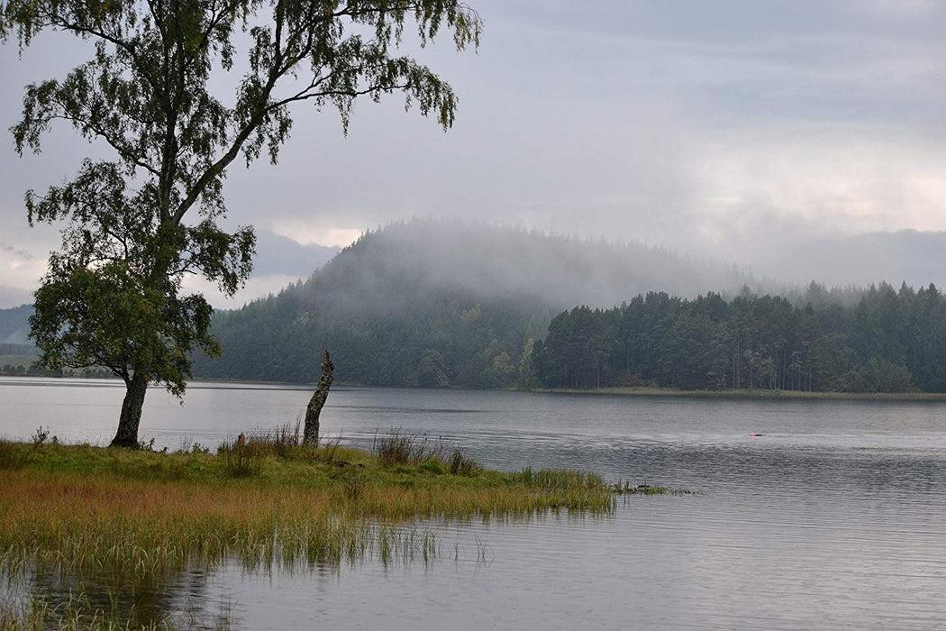 Wild Britain (Hugh Bonneville)