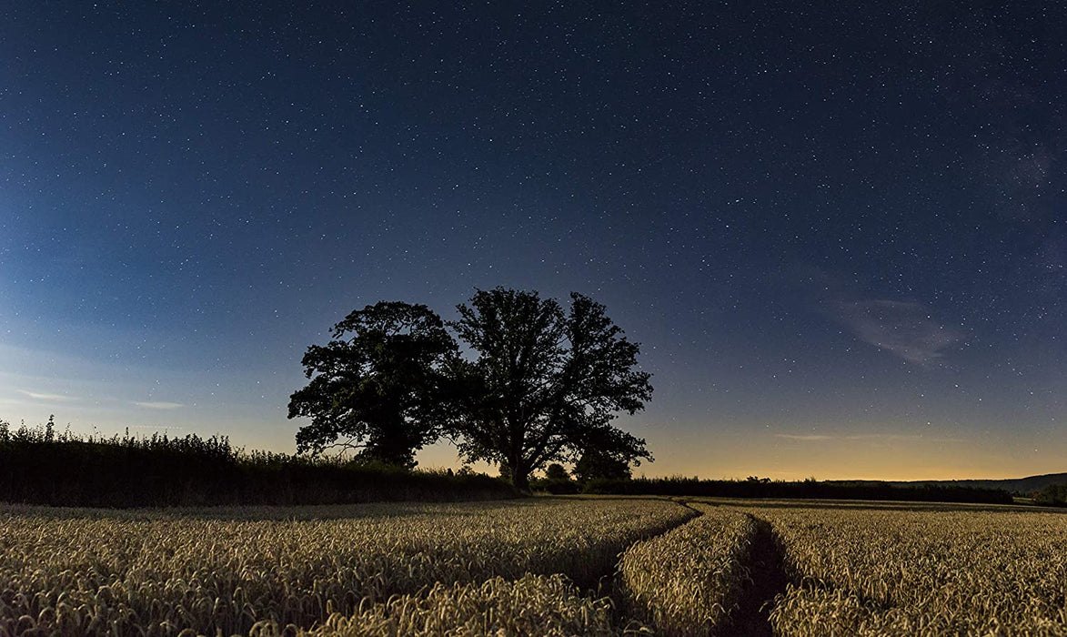 Wild Britain (Hugh Bonneville)