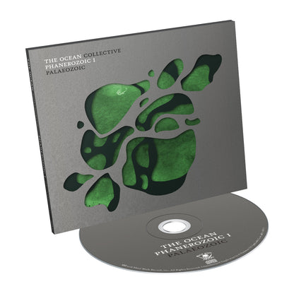 Phanerozoic I: Palaeozoic