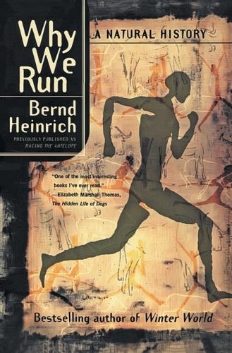 Why We Run