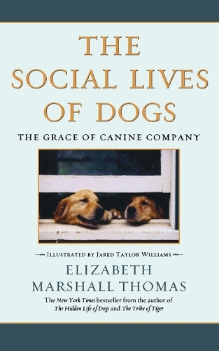 Social Lives of Dogs