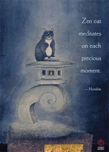 ZEN Cat Meditates