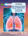 Investigating the Respiratory System (Investigating Body Systems