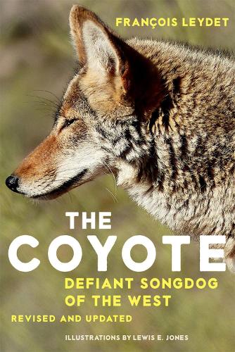 The Coyote