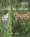 Tame Cat, Wild Cat