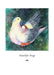 Feathered Hug