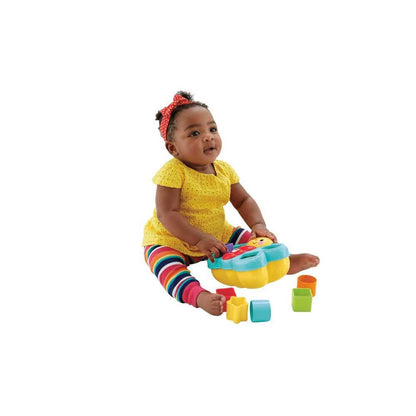 Fisher-Price Butterfly Shape Sorter, Baby Shape Sorter Toy with Different Shape Blocks, 6 Months Plus