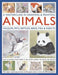 Masterclass in Drawing & Painting Animals