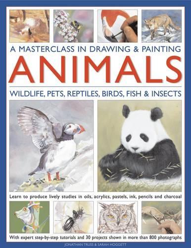 Masterclass in Drawing & Painting Animals