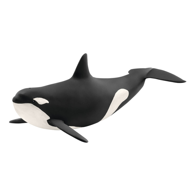 schleich WILD LIFE 14807 Realistische Orca Killerwal Tierfigur - Authentisches Wilder Orca Killerwal Tiere Spielzeug - Tiere Figuren Sets für Fantasievolles Spiel ab 3 Jahren