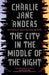 The City in the Middle of the Night