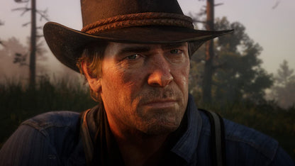 Red Dead Redemption 2 PS4 Game