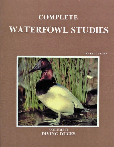 Complete Waterfowl Studies: Diving Ducks (002