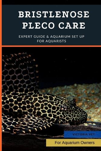 Bristlenose Pleco Care
