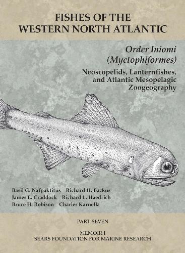 Order Iniomi (Myctophiformes)
