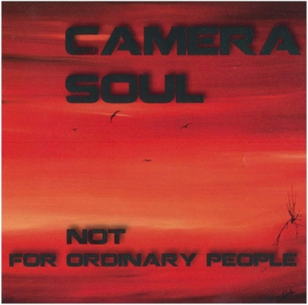 Not for Ordinary People