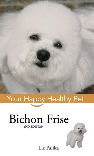Bichon Frise