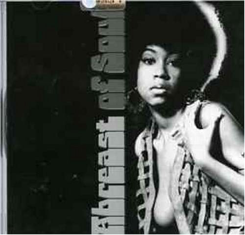 A Breast Of Soul