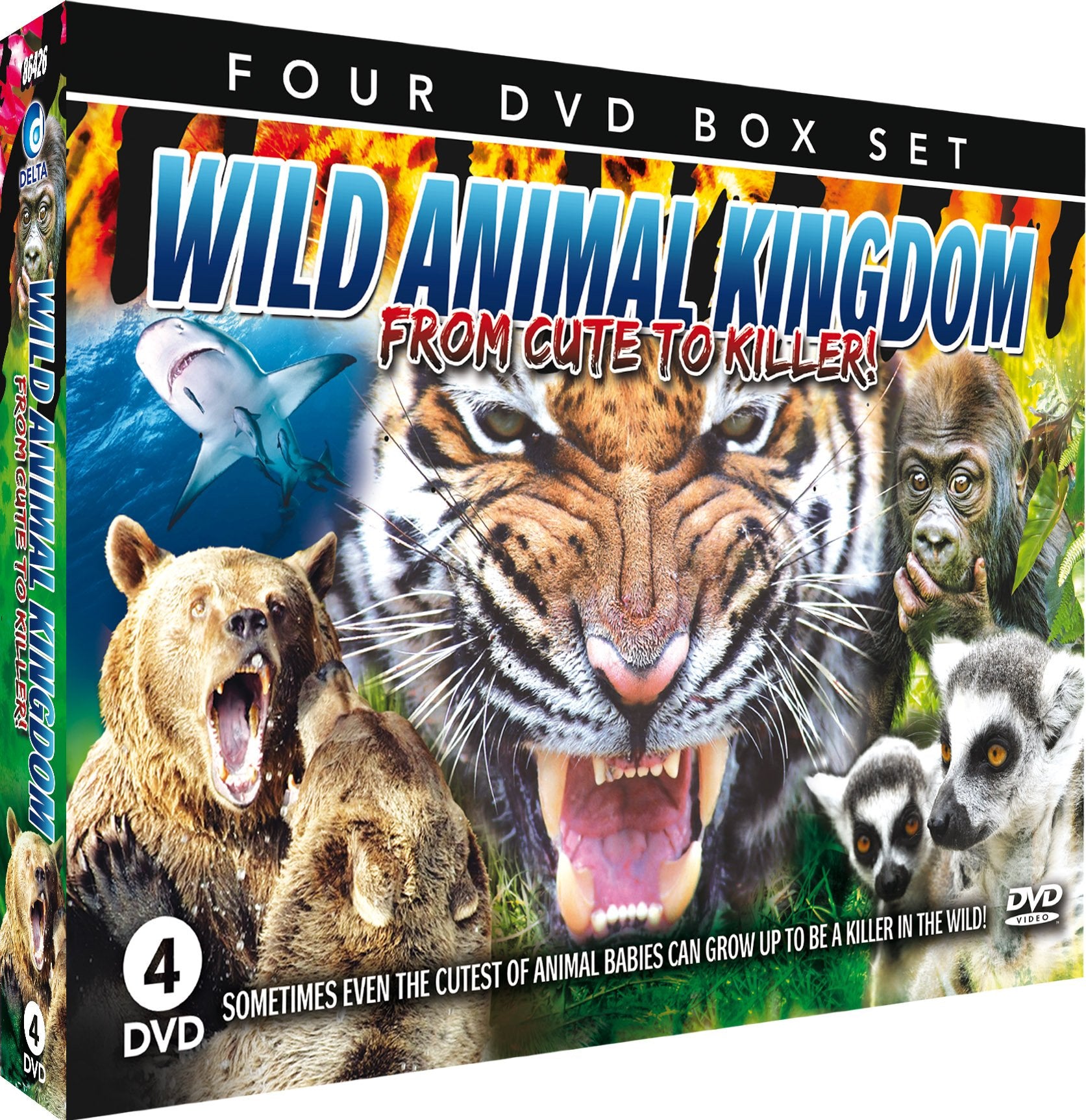 Wild Animal Kingdom