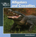 Alligators and Crocodiles