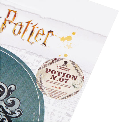 Wizarding World Harry Potter-Slytherin - Adesivo in vinile, multicolore, 10 x 12,5 cm, Wizarding World Harry Potter-Slytherin Vinyl Sticker, Multi-Color, 10 x 12.5cm, Wizarding World Harry Potter Autocollant en vinyle Motif Serpentard Multicolore 10 x 12,