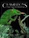 Chameleons