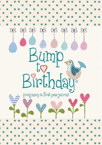 Bump to Birthday, Pregnancy & First Year Journal